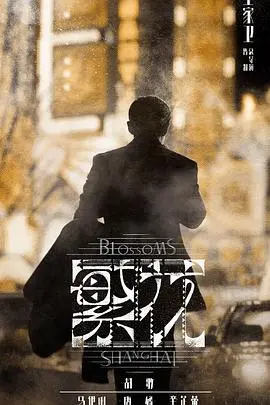 《繁花》普通话版：宝总的时代风云，是血赚还是拉胯？带你看懂上海滩